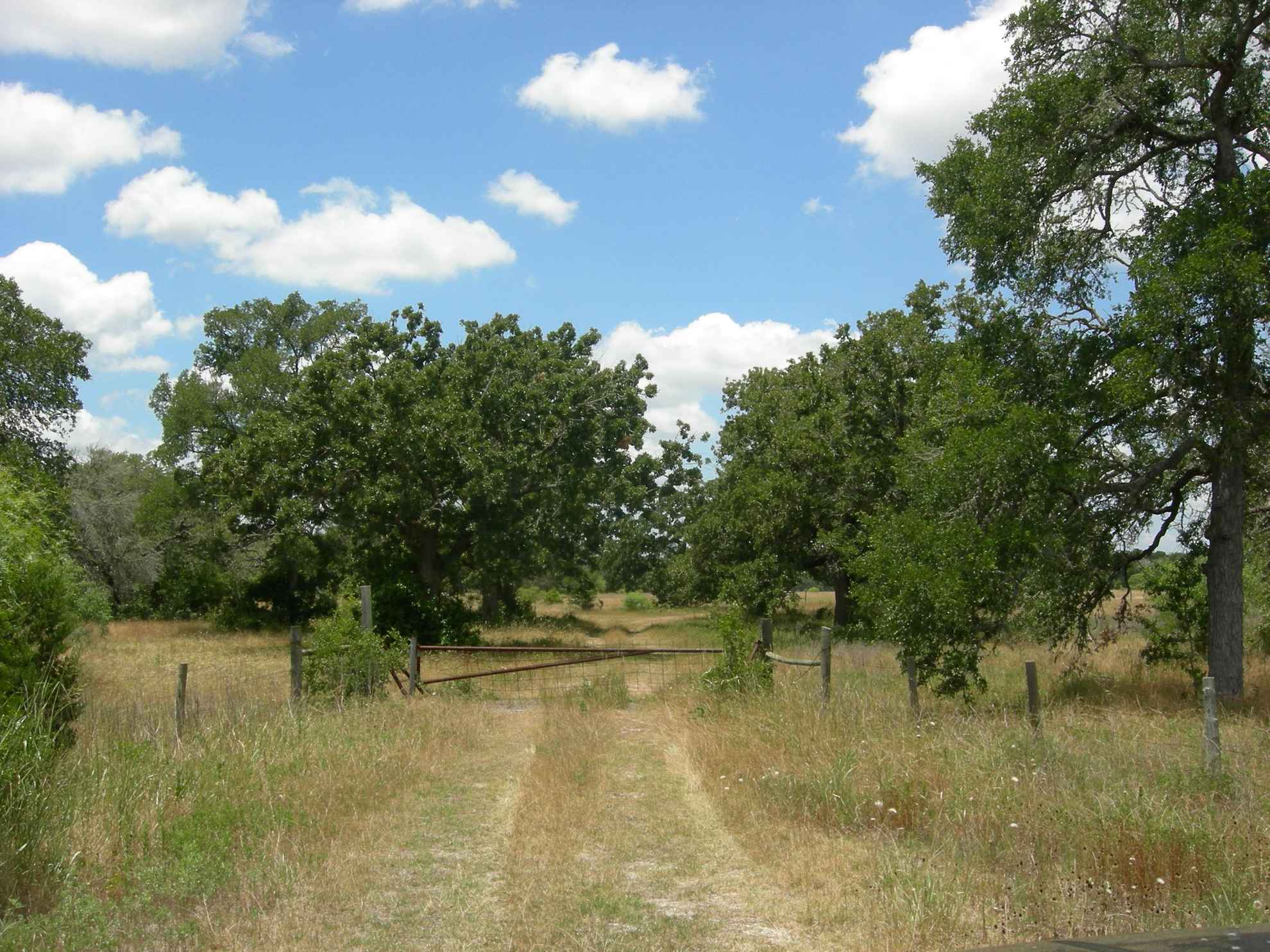 134.00 acres in Bastrop County, Texas Hunt H Hellums Land Company